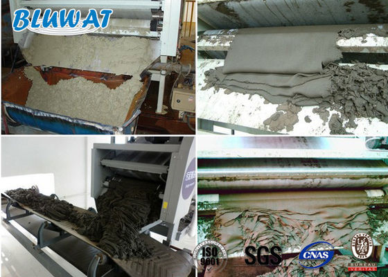 satın al Çamur Susuzlaştırma Katyonik Poliakrilamid CPAM Blufloc SGS BV Sertifikalı çevrimiçi üretim