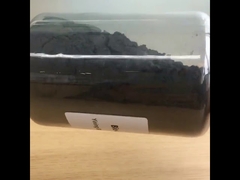 BWG Bio Temizlik Ajansı nedir?