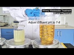 Şaraphanenin Atık Sularını Nasıl Temizlersiniz?