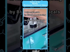 Polacrylamide PAM Çamur kalınlaştırma ve su çekme için floculant