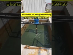 Polyacrylamide Flocculant Polyelectrolyte Su Arıtma Çamur Karartma ve Suboğazlama