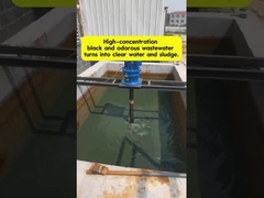 Siyah Kokulu Atık Suyu Temiz Suya Dönüştürmek floculant ve tedavi süreci