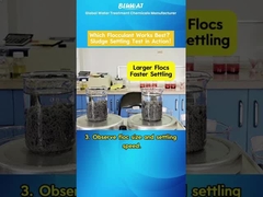 PAM Flocculant Showdown: Hangisi Çamurları Daha Hızlı Yerleştirir?